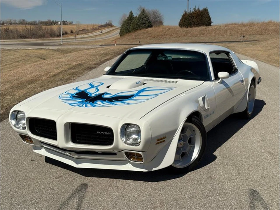 1973 Pontiac Firebird Trans Am 2nd Gen - Image 6 of 31