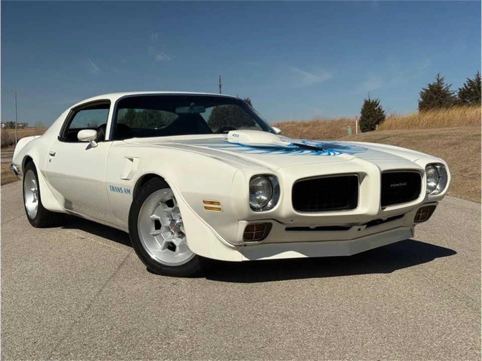 1973 Pontiac Firebird Trans Am 2nd Gen - Image 14 of 31
