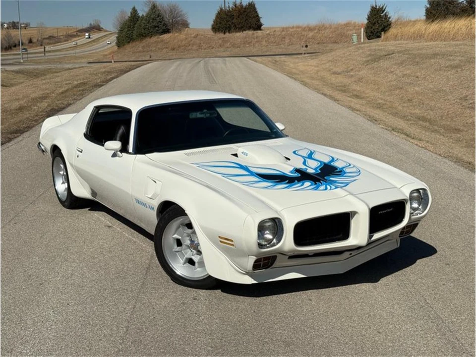 1973 Pontiac Firebird Trans Am 2nd Gen - Image 18 of 31