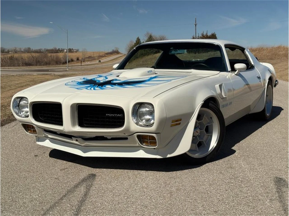 1973 Pontiac Firebird Trans Am 2nd Gen - Image 8 of 31