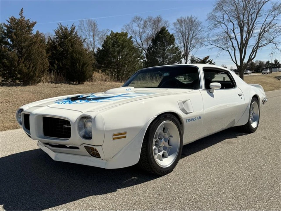 1973 Pontiac Firebird Trans Am 2nd Gen - Image 12 of 31