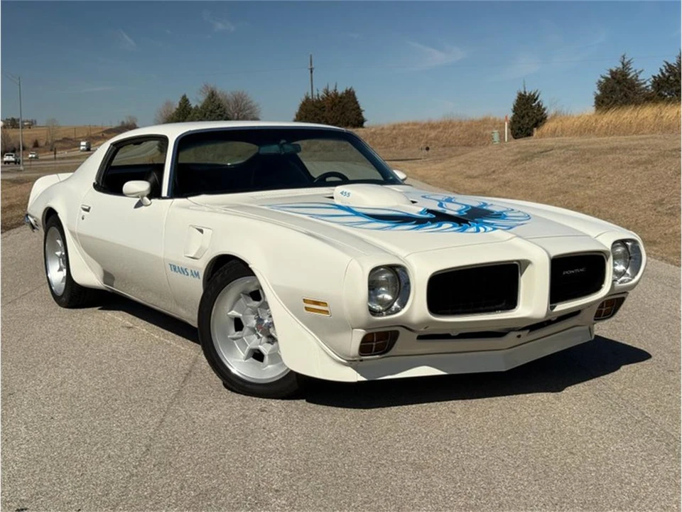 1973 Pontiac Firebird Trans Am 2nd Gen - Image 15 of 31