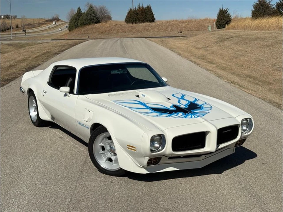 1973 Pontiac Firebird Trans Am 2nd Gen - Image 19 of 31