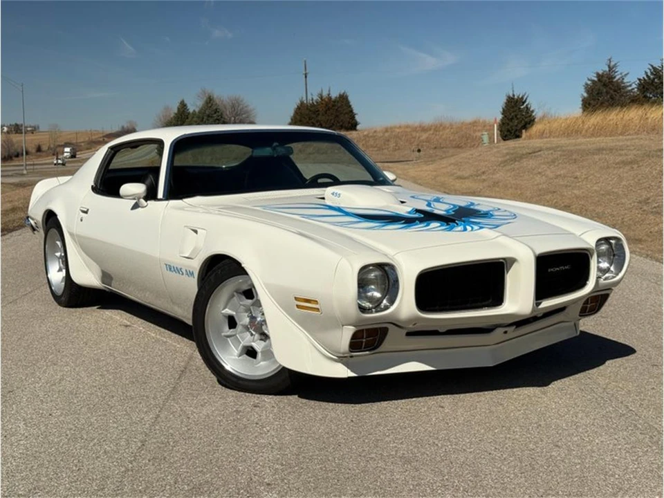1973 Pontiac Firebird Trans Am 2nd Gen - Image 16 of 31