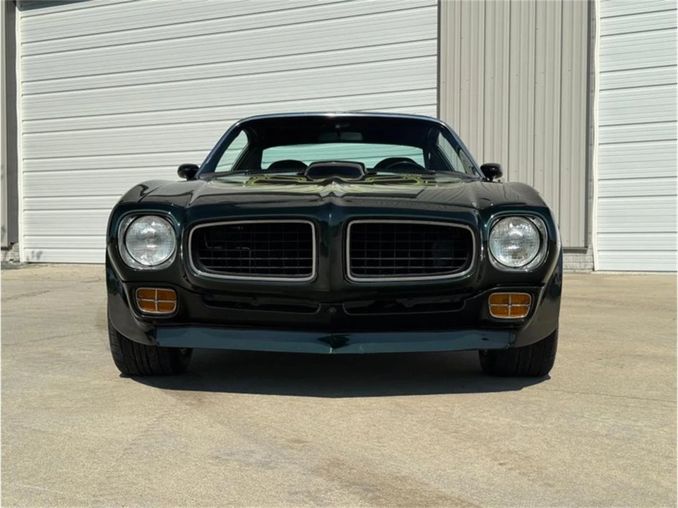 1973 Pontiac Firebird Trans Am 2nd Gen - Image 12 of 31