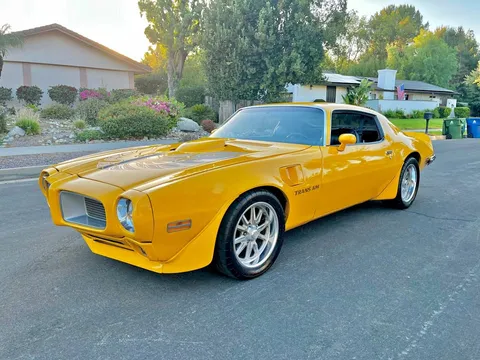 1973 Pontiac Firebird Trans Am Tribute