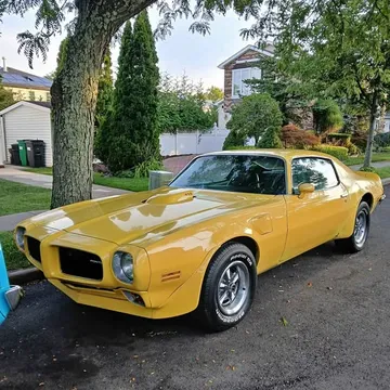 1973 Pontiac Firebird Esprit