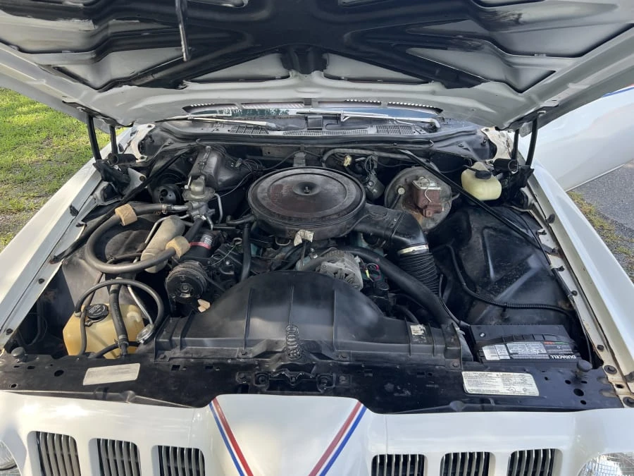 1973 Pontiac Grand Am - Image 11 of 13