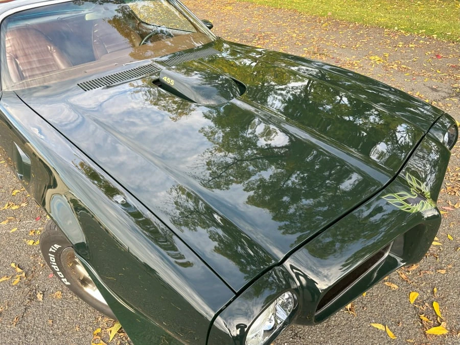 1973 Pontiac Firebird Trans Am 2nd Gen - Image 9 of 9