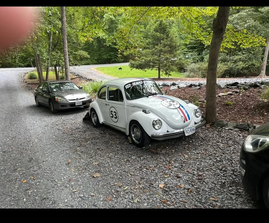 1973 Volkswagen Super Beetle - Image 2 of 2