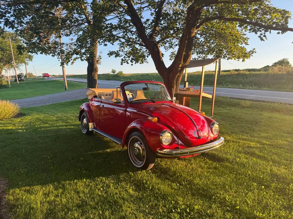 1973 Volkswagen Beetle (1958-1979) - Image 2 of 7