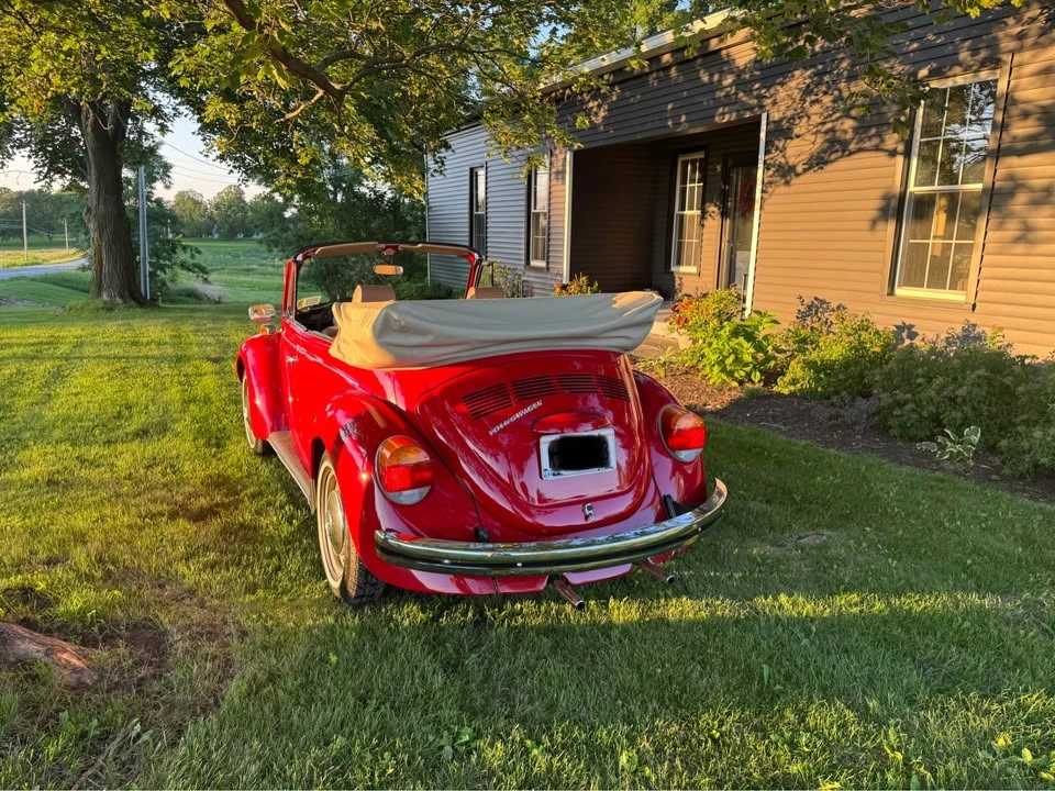 1973 Volkswagen Beetle (1958-1979) - Image 7 of 7