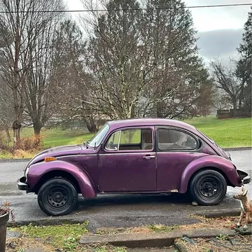 1973 Volkswagen Beetle 1.8T Classic Hatchback 2D