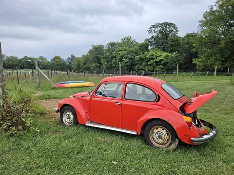1973 Volkswagen Beetle 1.8T Classic Hatchback 2D