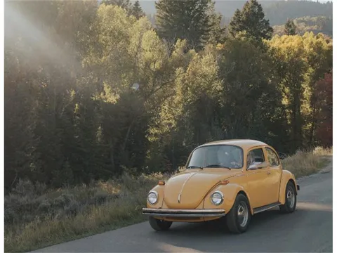 1973 Volkswagen Beetle