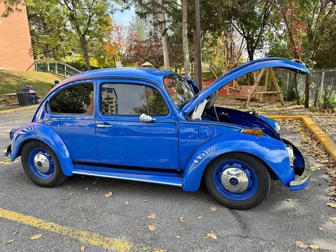 1973 Volkswagen Beetle