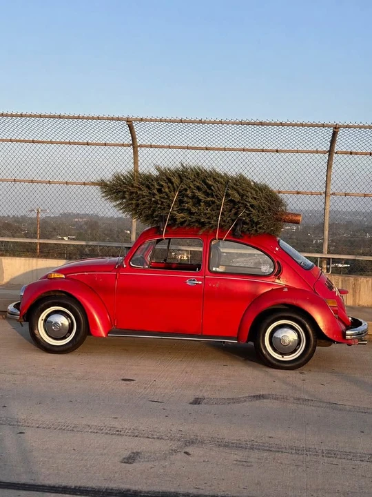 1973 Volkswagen Beetle (1958-1979) - Image 2 of 14