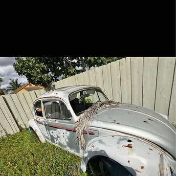 1973 Volkswagen Beetle Sedan
