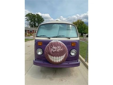 1973 Volkswagen Bus