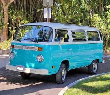1973 Volkswagen Eurovan