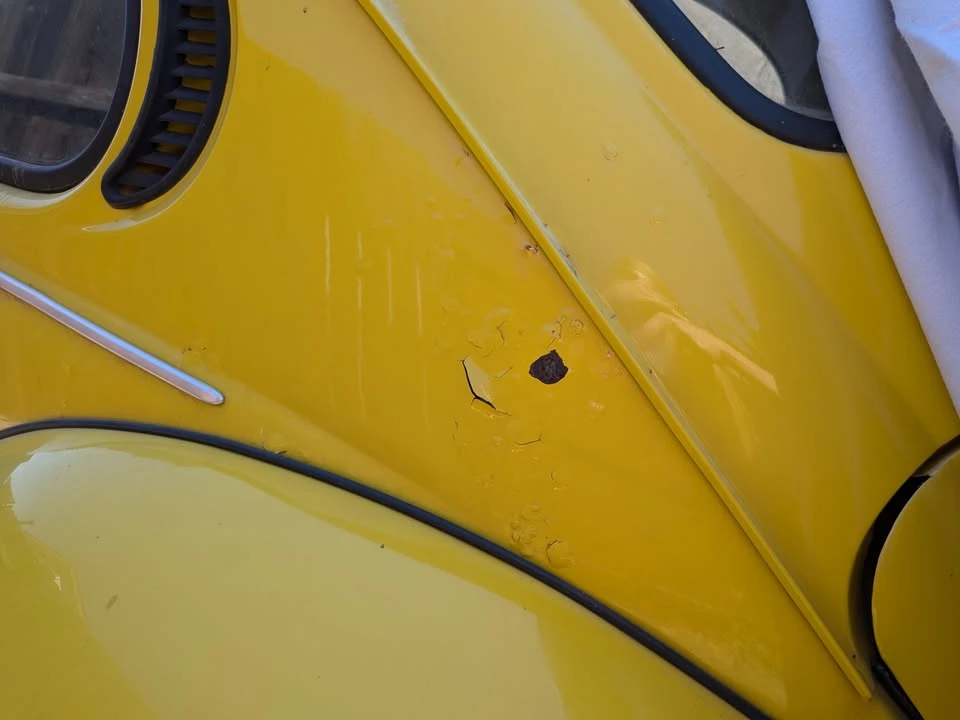 1973 Volkswagen Super Beetle - Image 11 of 11