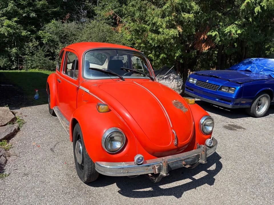 1973 Volkswagen Super Beetle - Image 2 of 11