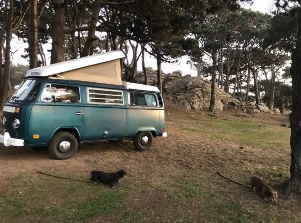 1973 Volkswagen Bay-Window Camper - Image 6 of 13