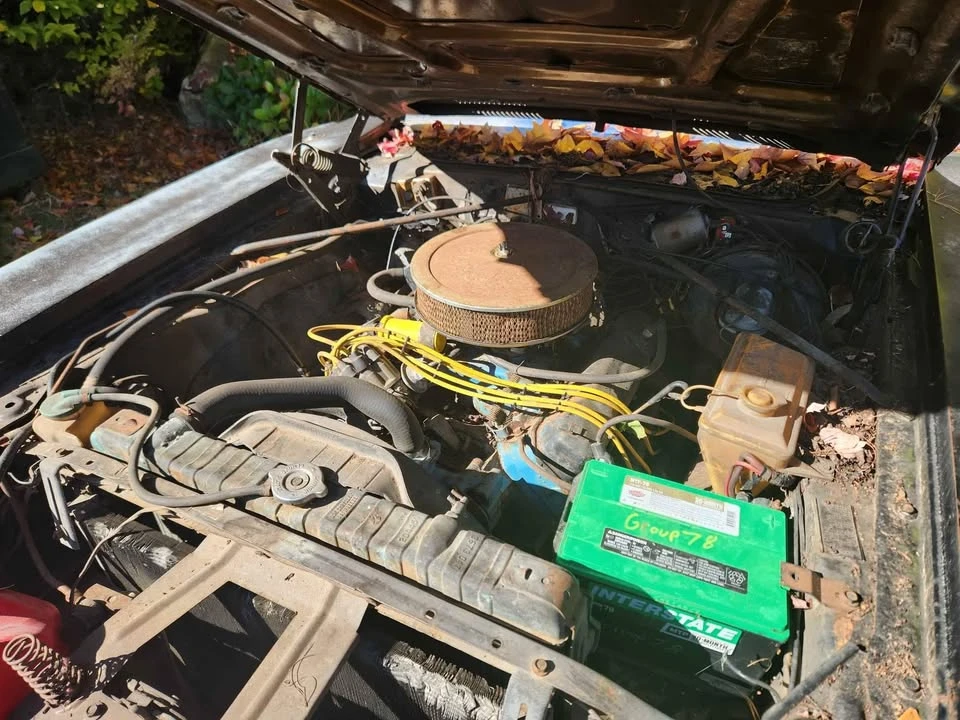 1973 Dodge Charger 3rd Gen - Image 4 of 10