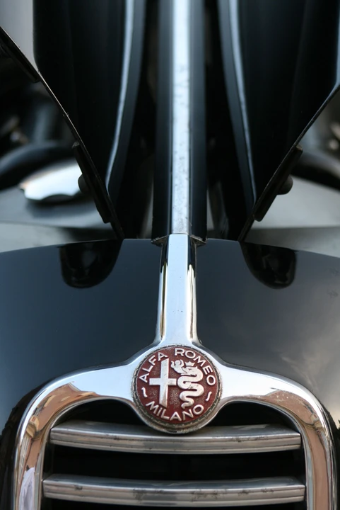 1955 Alfa Romeo 6C 2500 - Image 10 of 14
