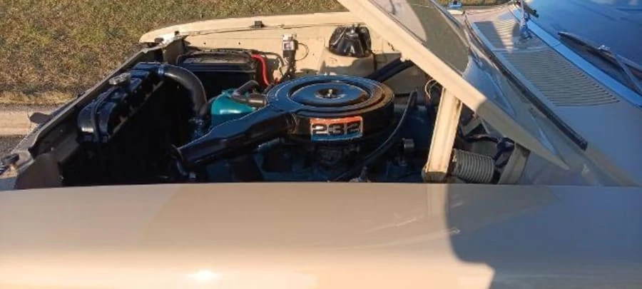 1974 AMC - Image 17 of 21
