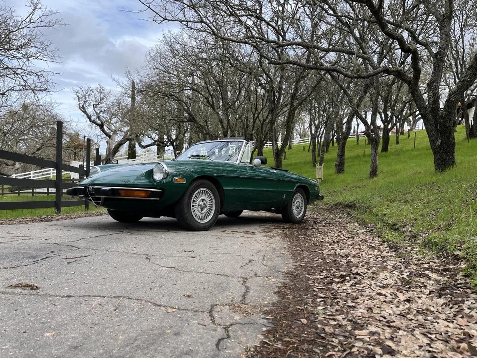 1974 Alfa Romeo Series 2 - Image 14 of 31
