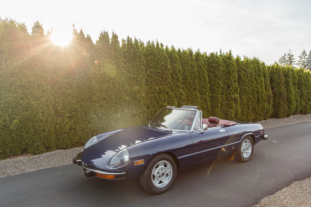 1974 Alfa Romeo Series 2 - Image 9 of 31