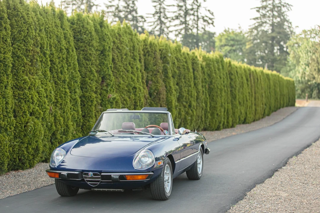 1974 Alfa Romeo Series 2 - Image 5 of 31