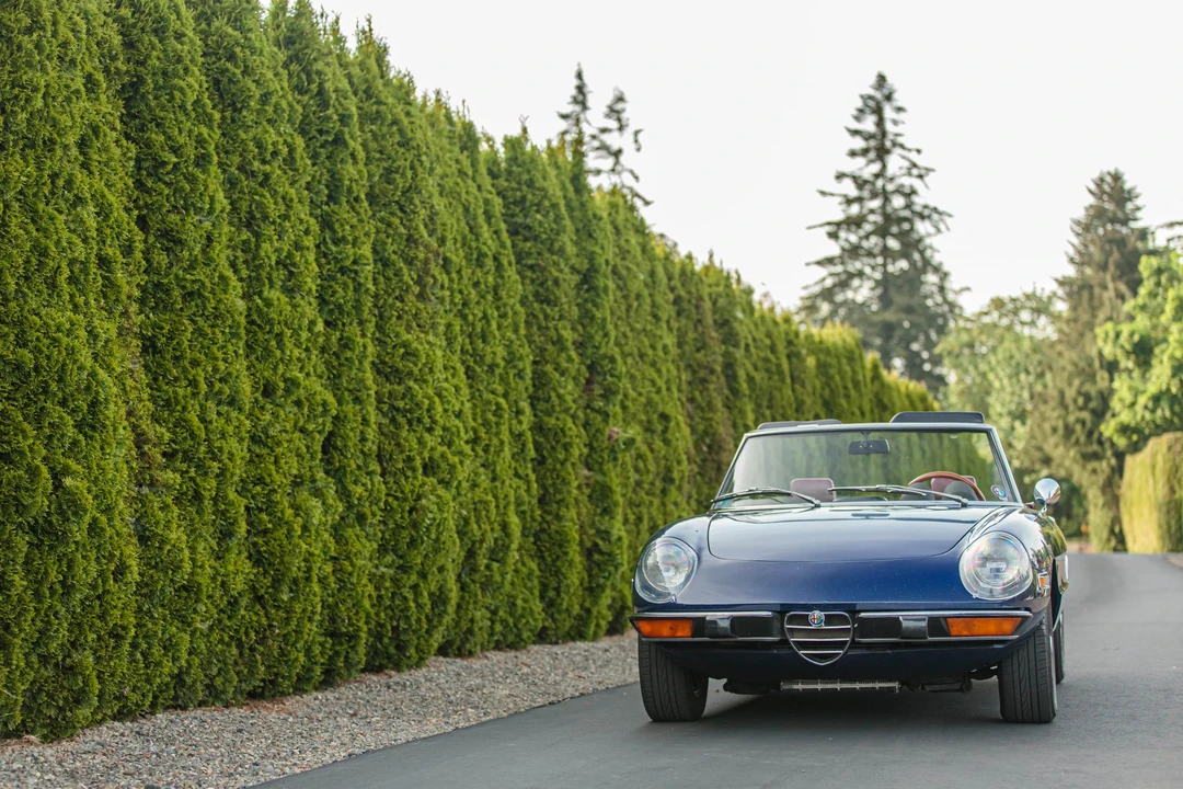 1974 Alfa Romeo Series 2 - Image 2 of 31