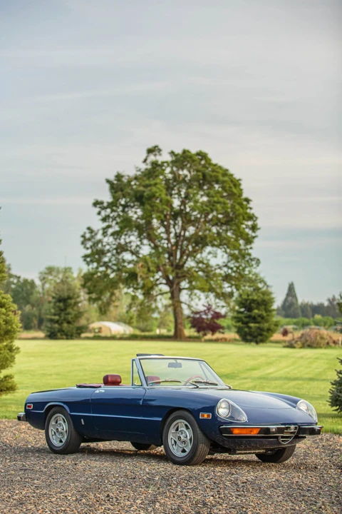 1974 Alfa Romeo Series 2 - Image 26 of 31