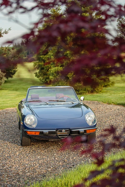 1974 Alfa Romeo Series 2 - Image 31 of 31