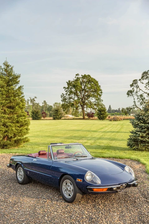 1974 Alfa Romeo Series 2 - Image 25 of 31