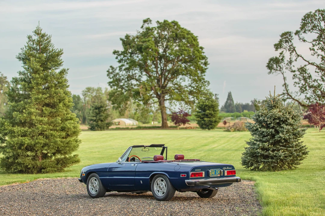 1974 Alfa Romeo Series 2 - Image 13 of 31