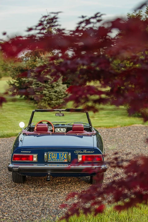 1974 Alfa Romeo Series 2 - Image 18 of 31