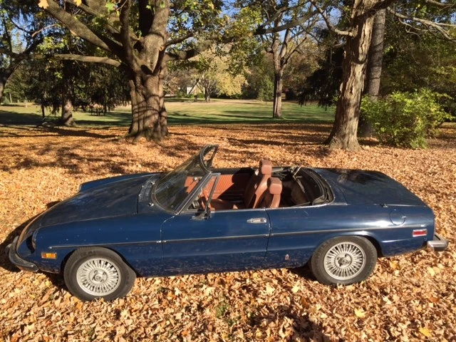 1974 Alfa Romeo Series 2 - Image 16 of 31