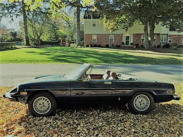 1974 Alfa Romeo Series 2 - Image 6 of 31