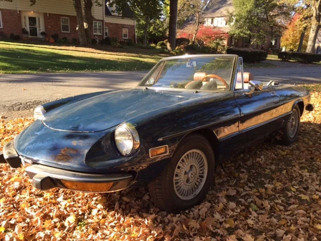 1974 Alfa Romeo Series 2 - Image 9 of 31