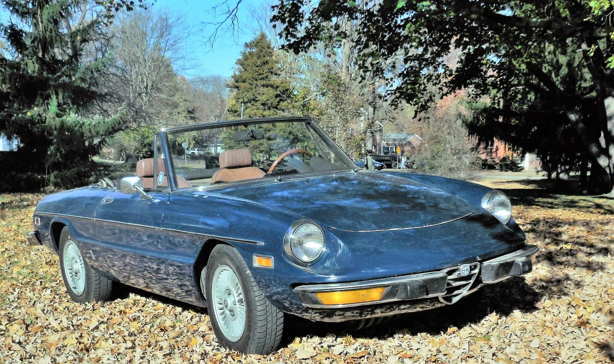 1974 Alfa Romeo Series 2 - Image 2 of 31