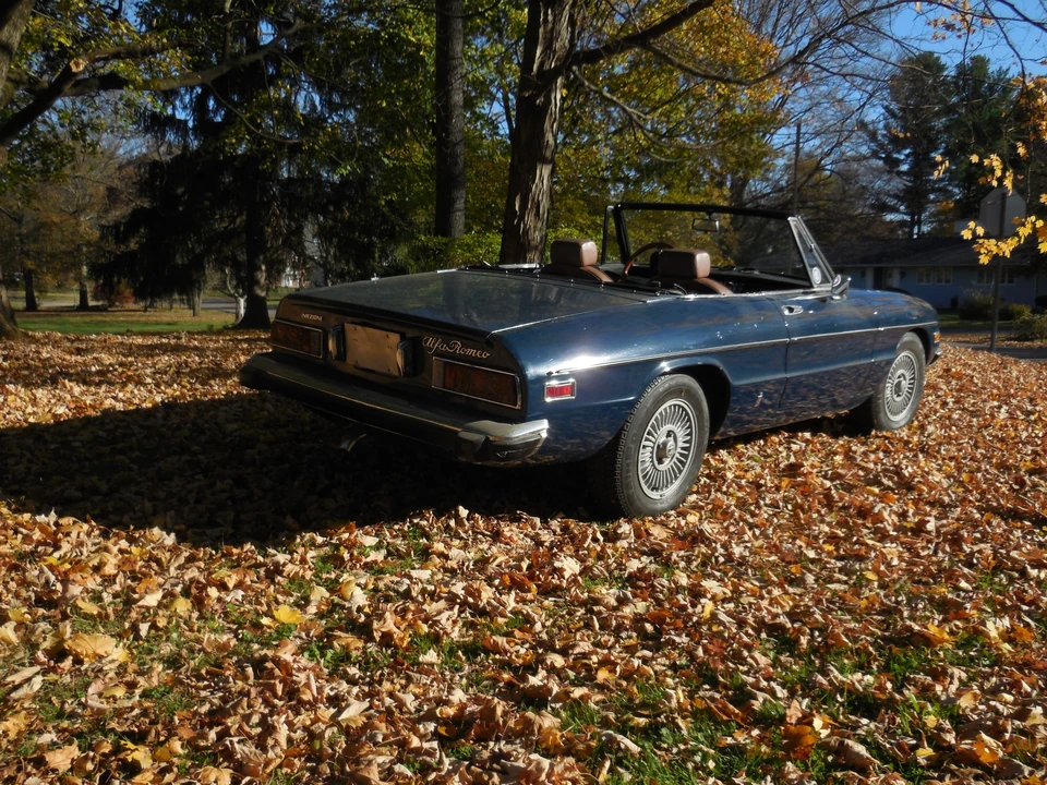 1974 Alfa Romeo Series 2 - Image 3 of 31