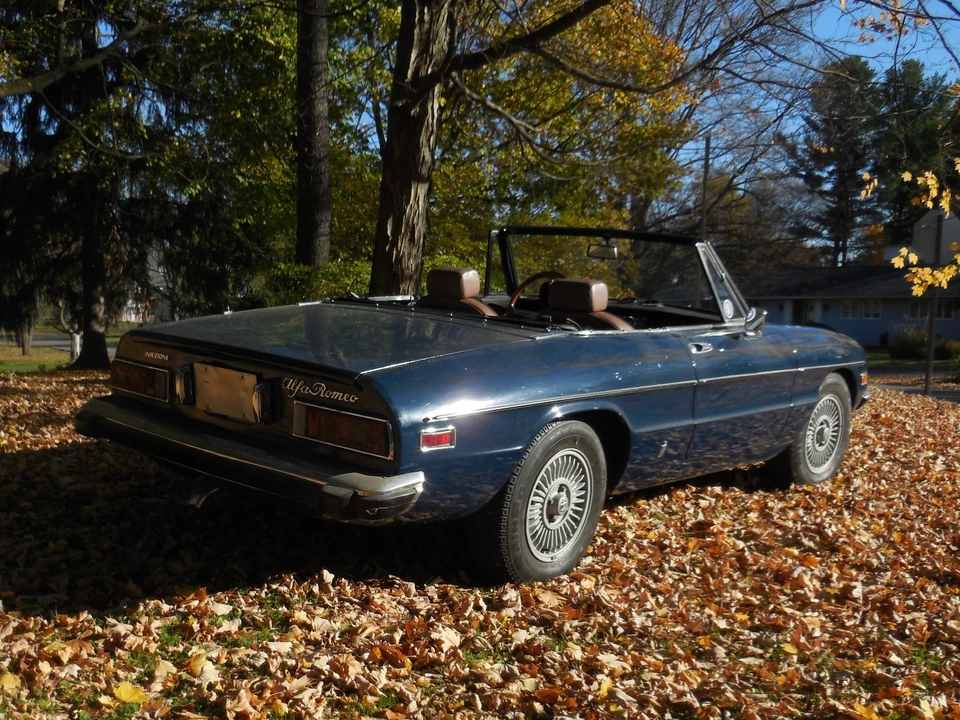 1974 Alfa Romeo Series 2 - Image 14 of 31