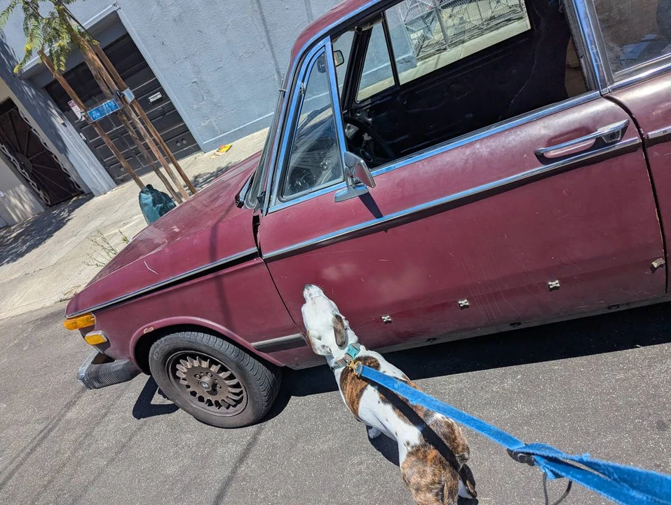1974 BMW 2002 - Image 7 of 8