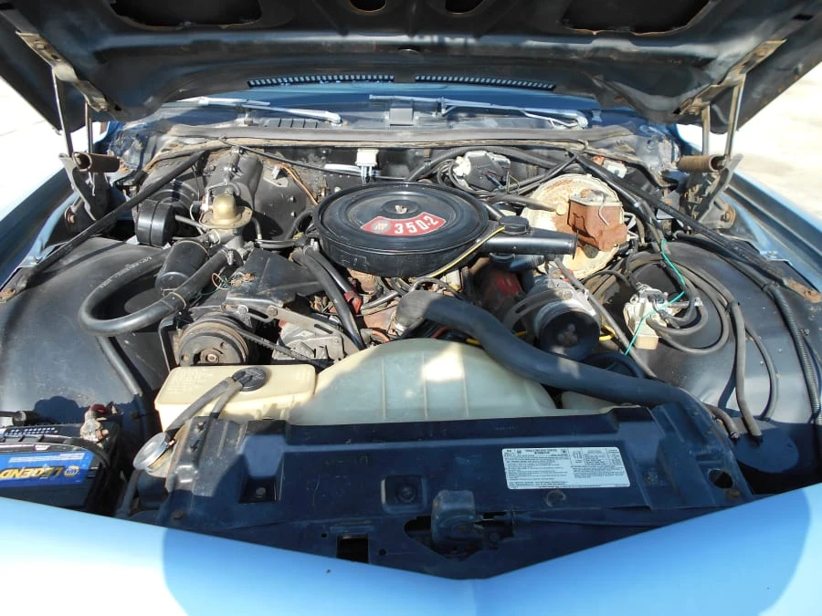 1974 Buick Century - Image 4 of 4