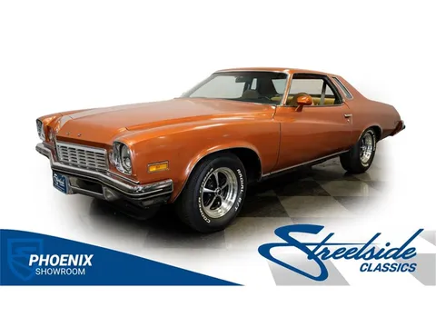 1974 Buick Century Luxus