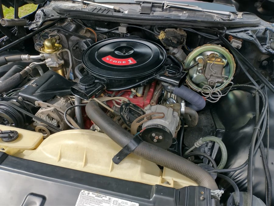 1974 Buick Century - Image 7 of 14