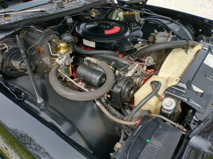1974 Buick Century - Image 8 of 14